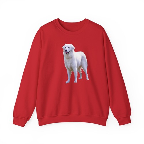Hungarian kuvasz 50 - kuvasz,